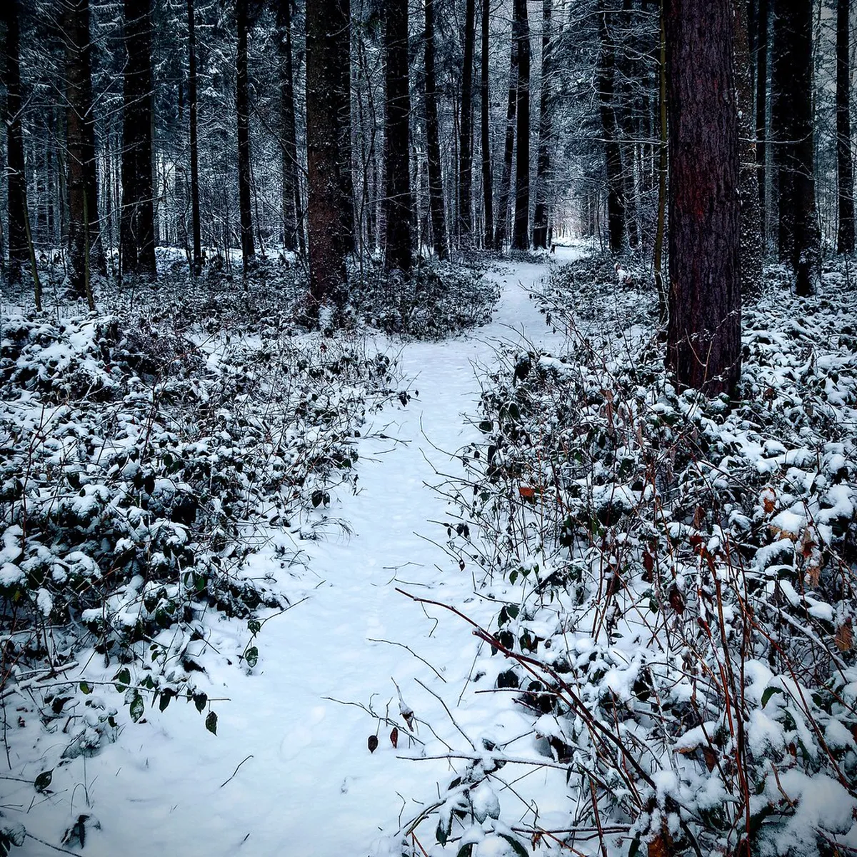 How to Get Around Bern in Snow Safely