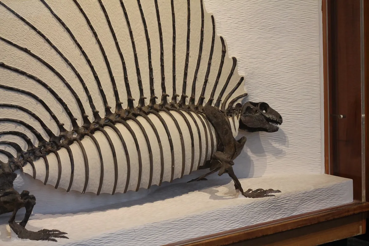 Best Museums to Visit in Chur During Winter