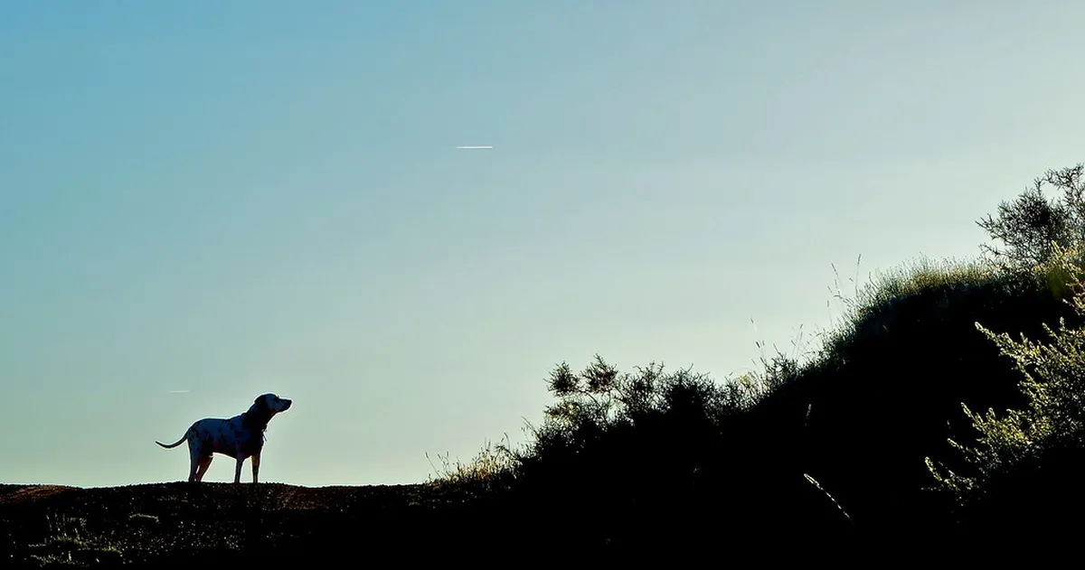 Best Escalade activities for children in Geneva 2026