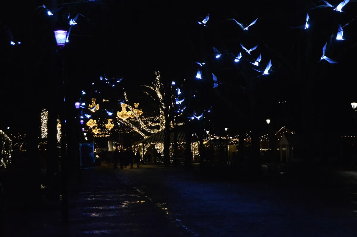 Geneva Christmas Market Guide 2026: Local Tips