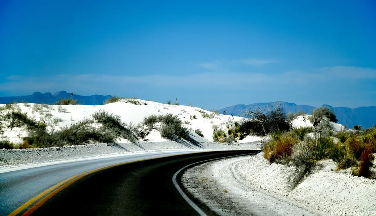 Guided Night Sledding Tours in Grindelwald for 2026
