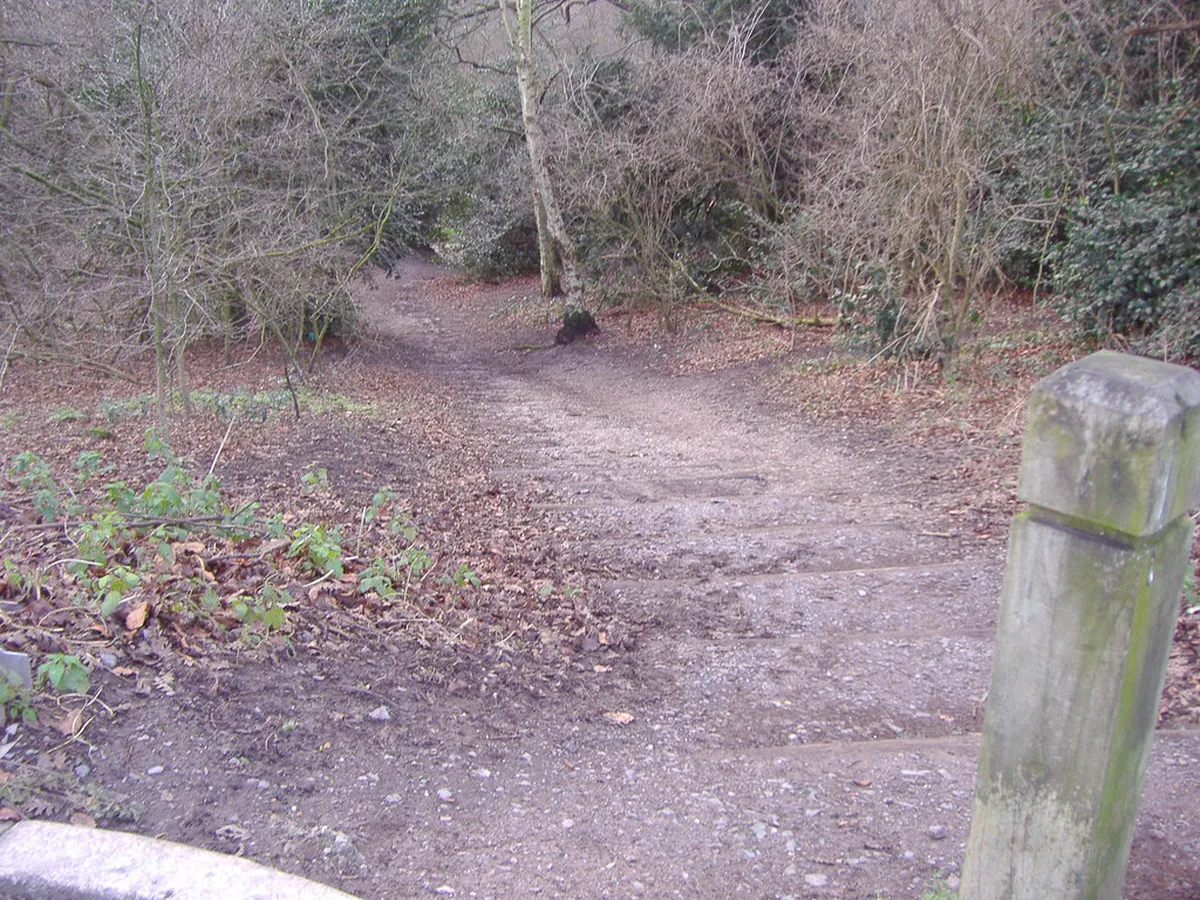 Best Sledging Runs for Kids Near Interlaken 2026