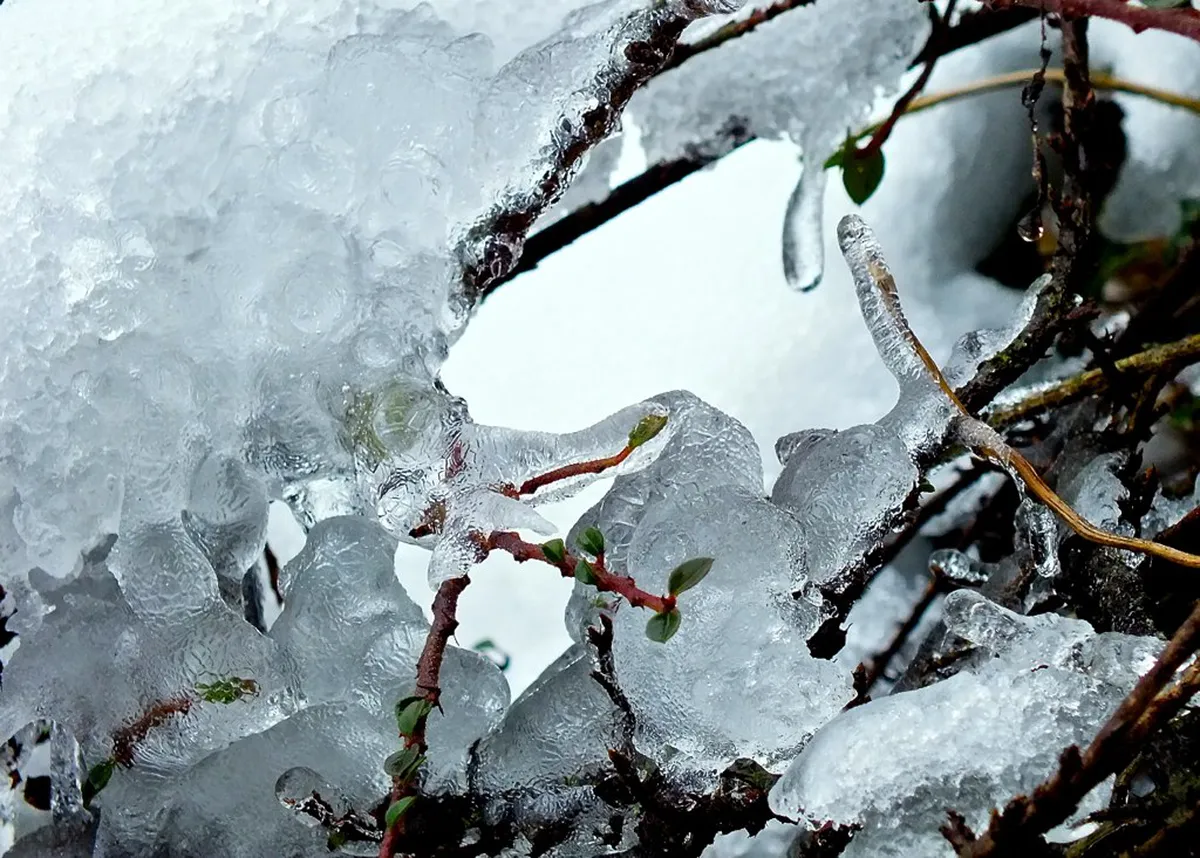 Is Ice Magic Interlaken Worth Visiting in 2026?