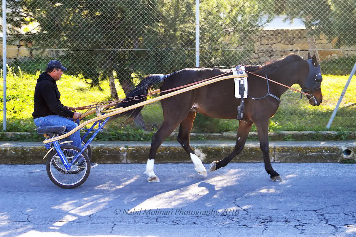 Traditional Ticinese Winter Desserts to Try Locarno
