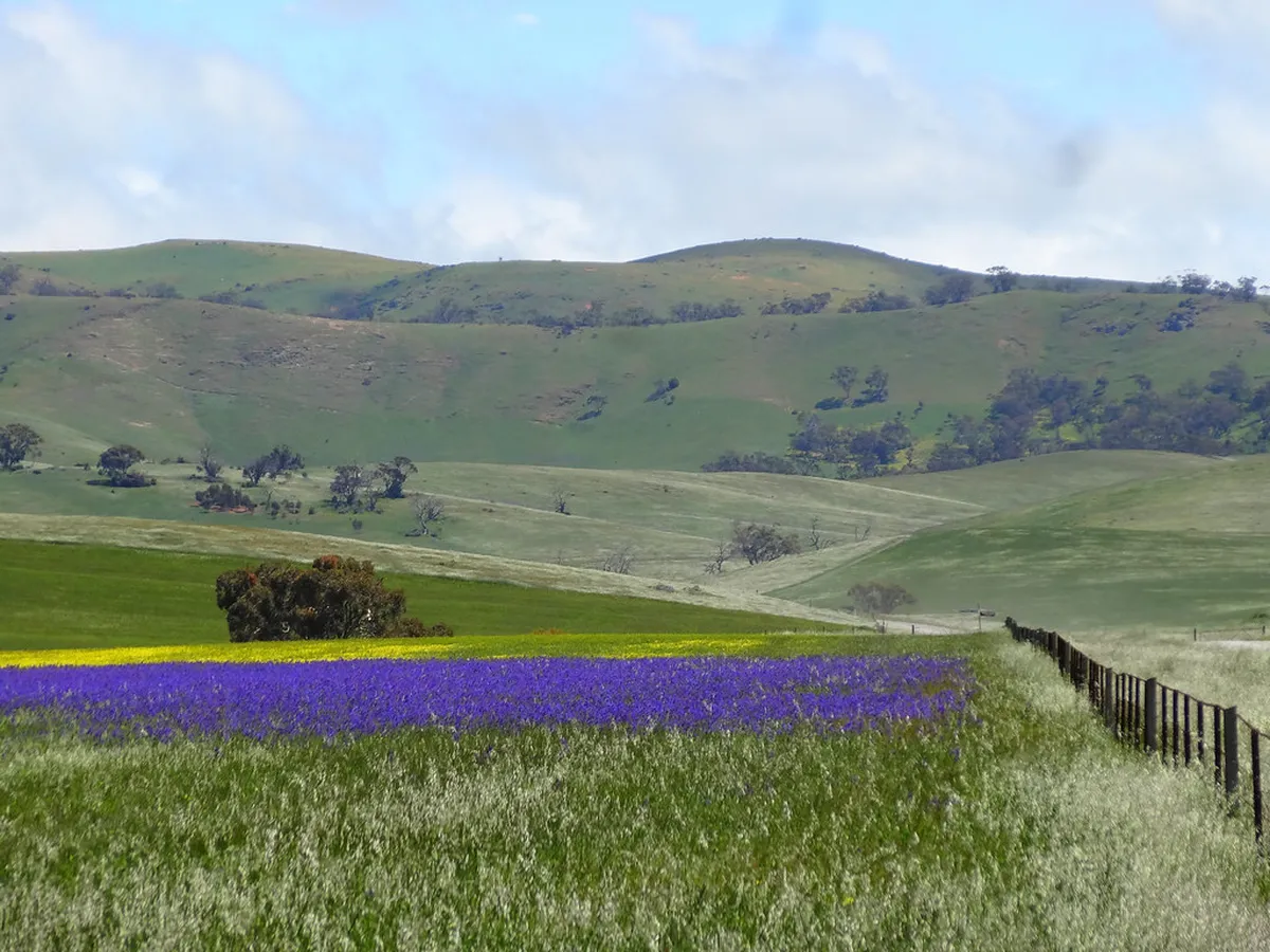 Lucerne Christmas Lights Photography Guide