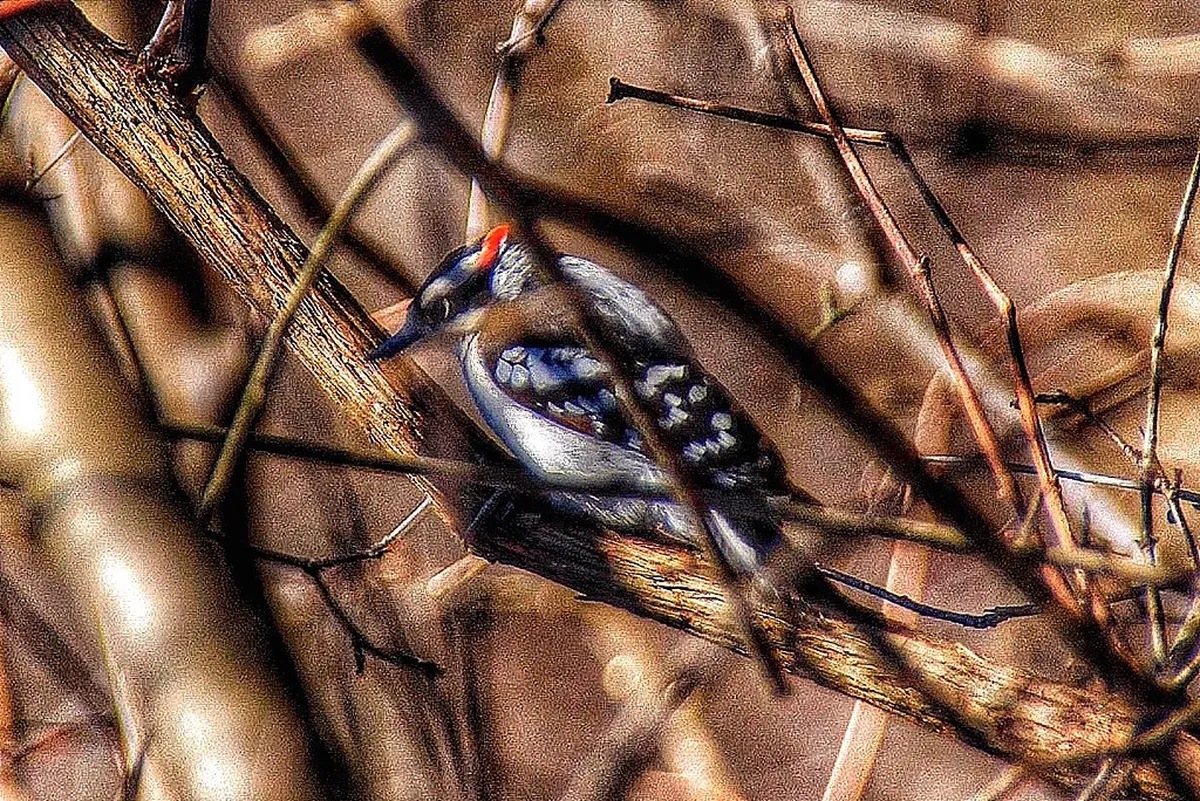 Family Winter Events Lugano: Top Activities 2026