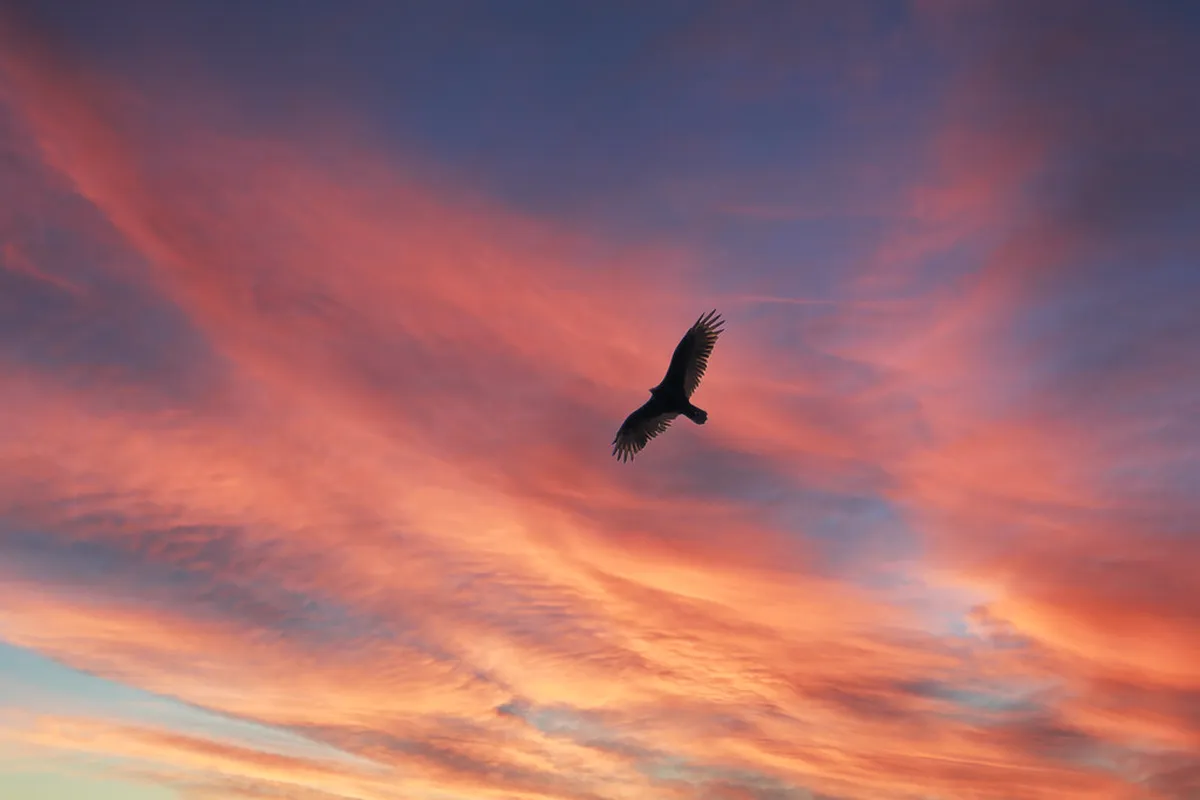 Where to Buy Local Gifts in Lugano: Best Shops