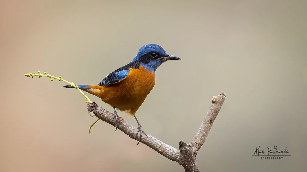 Best Winter Activities in Lugano 2026 Guide