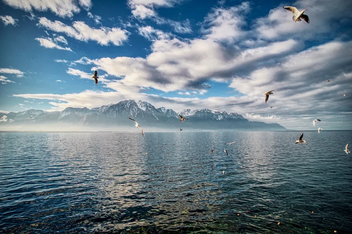 Montreux Riviera Card Winter Benefits Guide