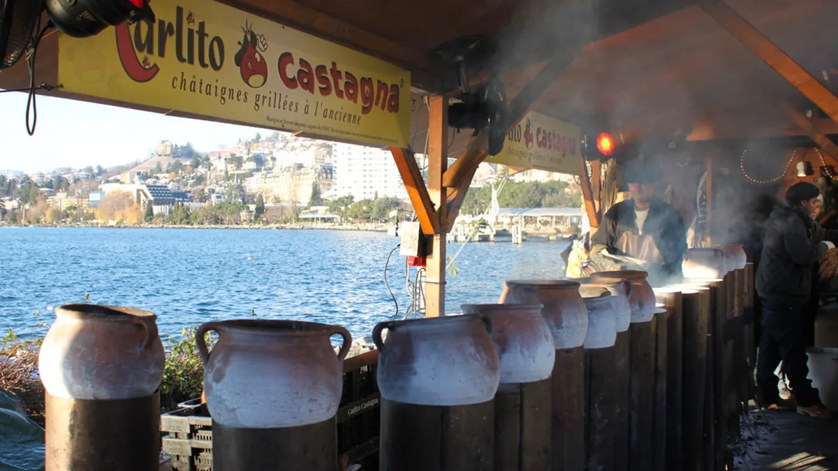 Winter Day Trips From Montreux: Top 2026 Guide