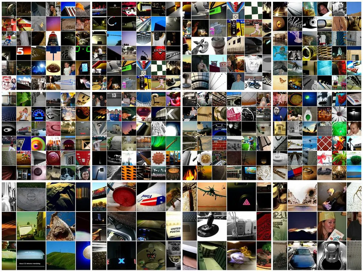 Dog Friendly Winter Trails in Neuchâtel Switzerland