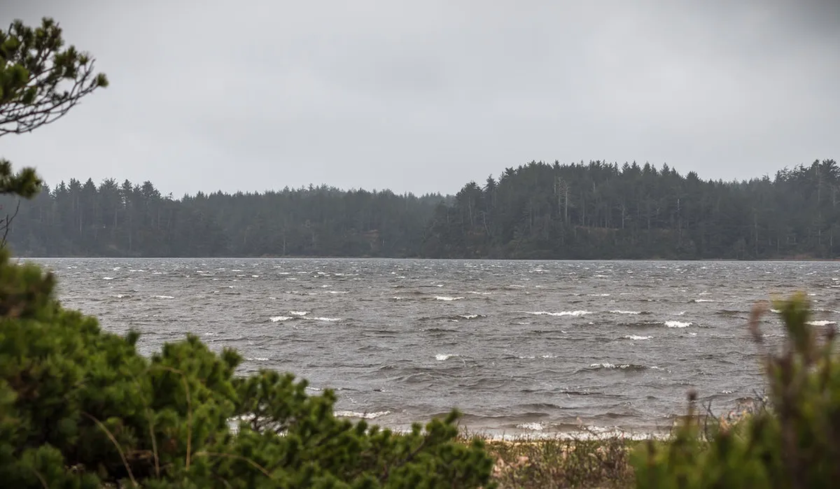 Easy Winter Walks Around Lake Neuchâtel Switzerland