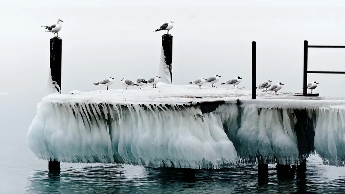 Neuchâtel Ice Skating Rink Opening Hours 2026