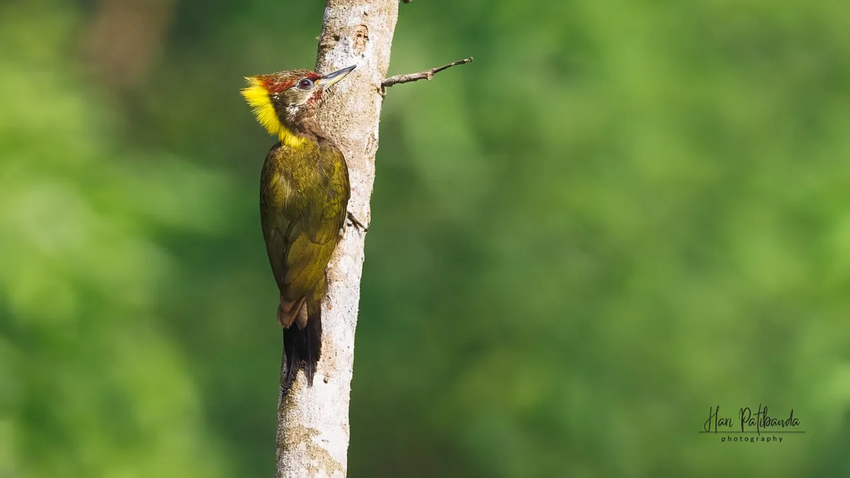 Where to Stay During Neuchâtel Carnival Weekend