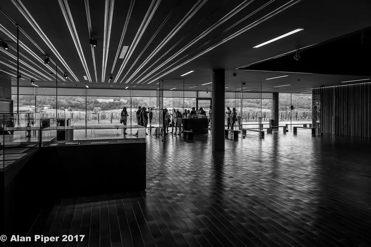 Neuchâtel Wine Tasting Experiences Winter 2026