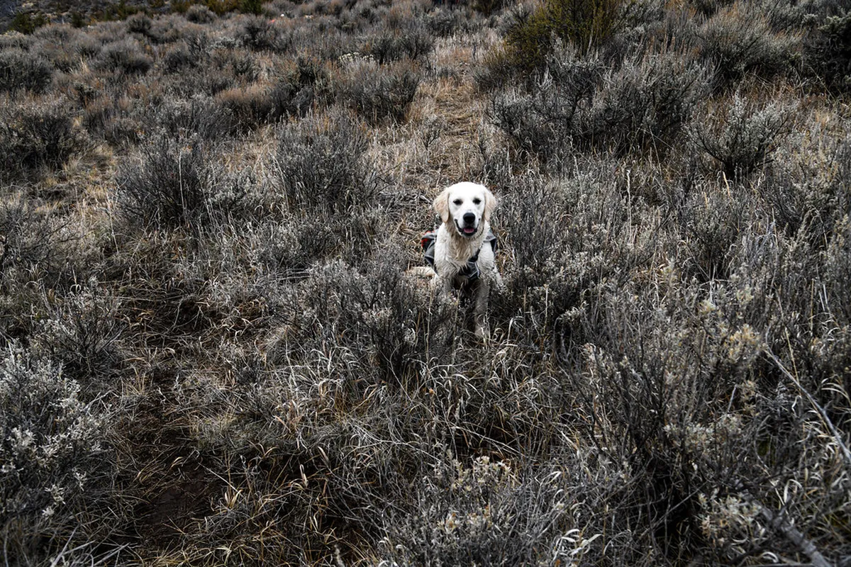 Essential winter gear for visiting Vevey Switzerland