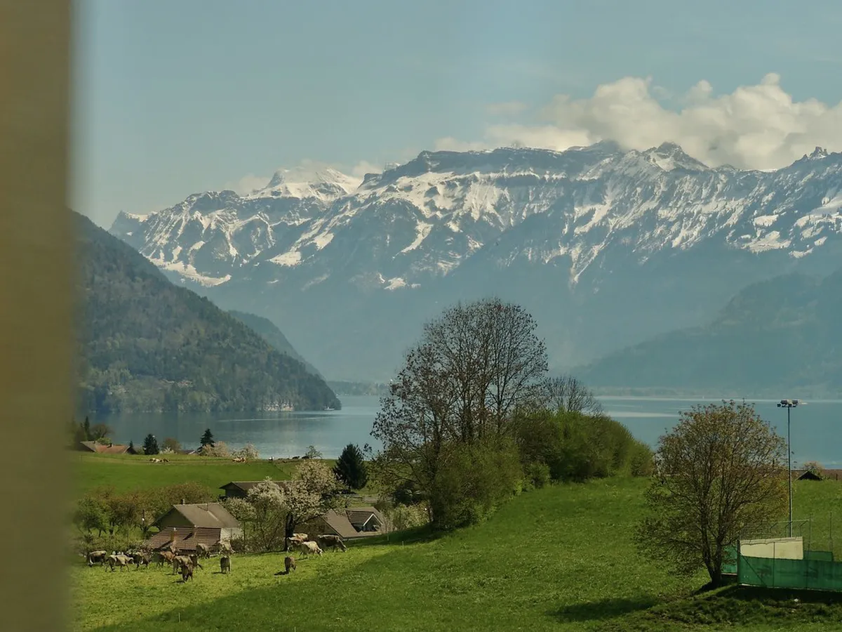 Best Scenic Winter Train Rides Starting from Zürich