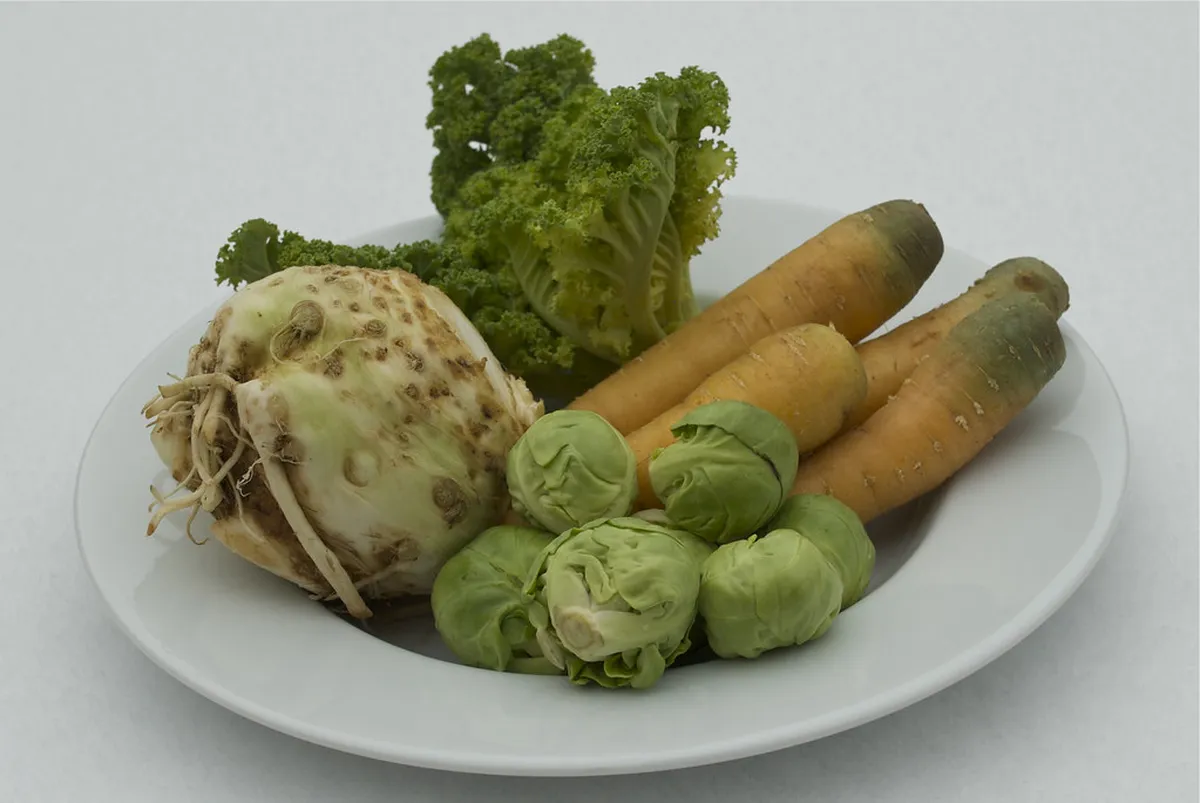 Zürich Winter Food Festivals 2026: Best Places to Eat